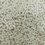 RI-1043 - Τούλι με Γκλίτερ 
