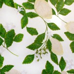 RI-1048 - Τούλι Κεντημένο